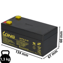 agm lead battery 12v 3,3Ah + charger