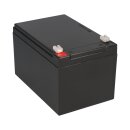 FIAMM FG21201 Standard AGM Bleiakku 12V 12Ah T1 / Faston 4,8 mm