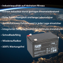 FIAMM FG21202 Standard AGM Bleiakku 12V 12Ah T2 / Faston...