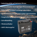 FIAMM FG21803 Standard AGM Bleiakku 12V 18Ah...