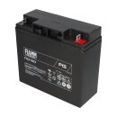 FIAMM FG21803 Standard AGM Bleiakku 12V 18Ah M5-Schraubanschluss