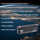 FIAMM FG20201 Standard AGM Bleiakku 12V 2Ah T1 / Faston...