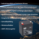 FIAMM FG20451 Standard AGM Bleiakku 12V 4,5Ah T1 / Faston...