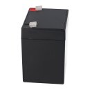 FIAMM FG20451 Standard AGM Bleiakku 12V 4,5Ah T1 / Faston 4,8 mm