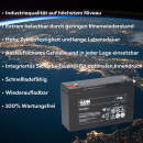 FIAMM FG11201 Standard AGM Bleiakku 6V 12Ah T1 / Faston...