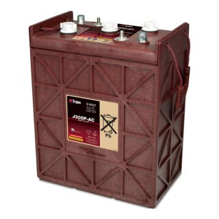 Traktionsbatterie Trojan J305P-AC 6V 330Ah Deep Cycle DT-Anschluss