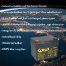 2x Kung Long U1-36NE AGM-Akkus 12V 36Ah (24V) – für Lecson HS-320 bis HS-686