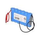 Akku für Notleuchten 7,2V 2100mAh NiMH 4/5 A F1x6 20cm Kabel