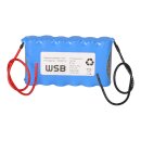 Beghelli 415260000 Notleuchten-Akku 7,2V 2100mAh NiMH F1x6