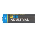 WSB Industrial ifr 14500 aa Solar battery LiFePO4 3.2v 600mAh