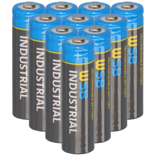 Q-Batteries LiFePO4 12,8V 200 Ah mit Victron Orion-Tr Smart 12/12-30A  Ladebooster