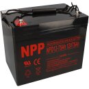 NPP Blei-Akku AGM NPD12-75 12V 75Ah