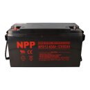 NPP NPD12-65 AGM Deep-Cycle Bleiakku 12V 65Ah zyklenfest