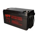 NPP NPD12-65 AGM Deep-Cycle Bleiakku 12V 65Ah zyklenfest