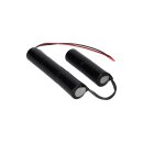 Notleuchtenakku 6V 4500mAh NiCd L1x3+L1x2 | NICD6045V