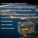 Kung Long WP14-12SE Akku-Satz 36V 14Ah für eFlux Vision – 3x 12V AGM