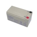 Original Schiller Blei Akku EKG AT1/ SP1/ P80/ AT101/...