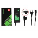 2 in 1 Ladegerät 2A f. Sony BP-95W BP-190WS DSR 250P...